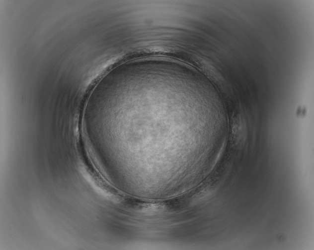 X0000113220398200910011350