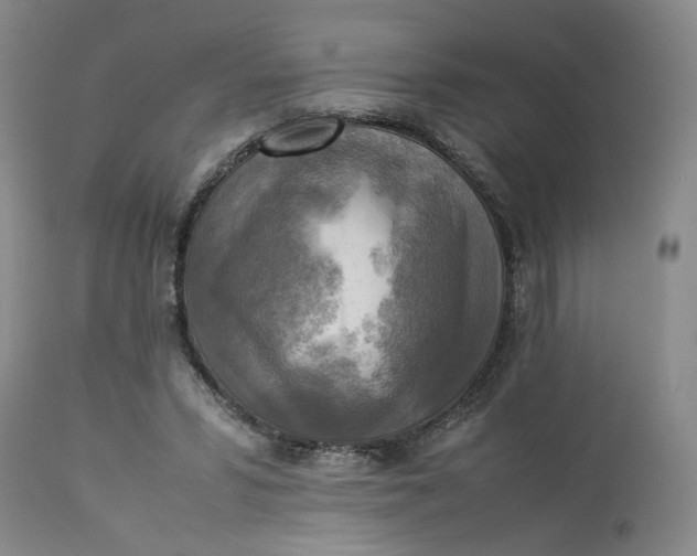 X0000113220399200910011350