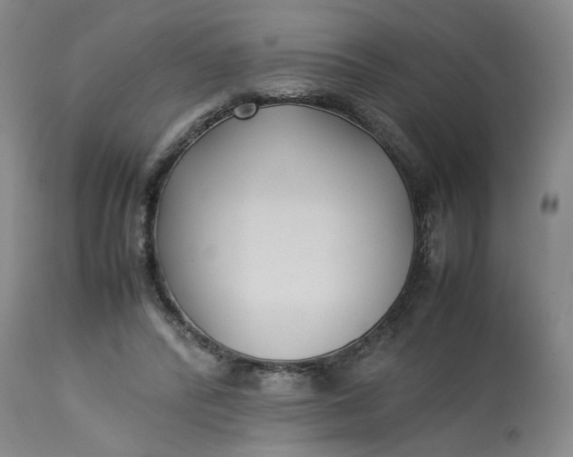 X0000113220400200910011350