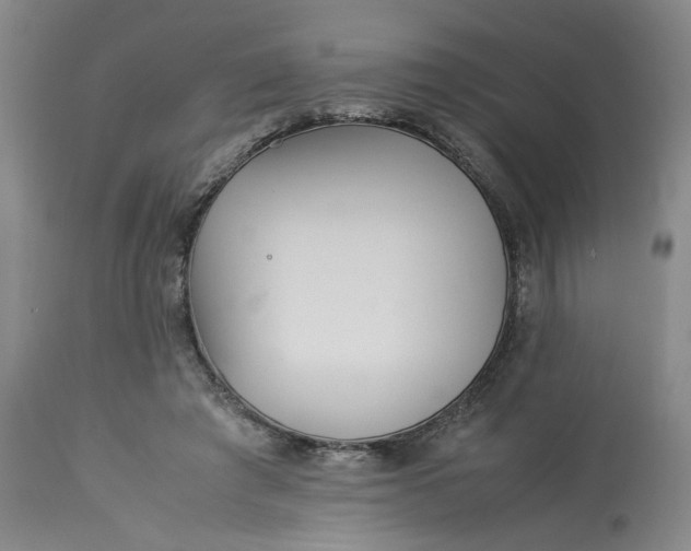 X0000113220401200910011350