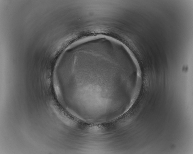 X0000113220402200910011350