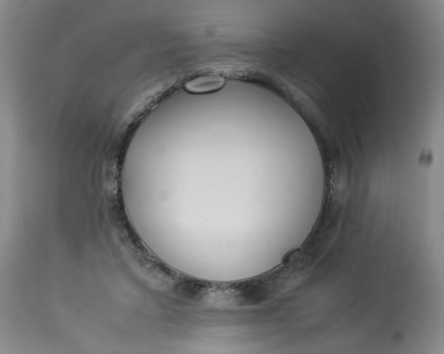 X0000113220403200910011350