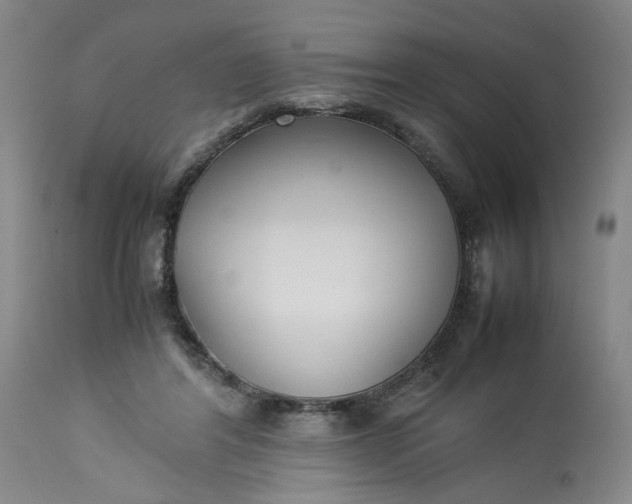 X0000113220404200910011350