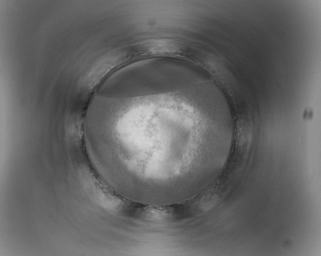 X0000113220405200910011350