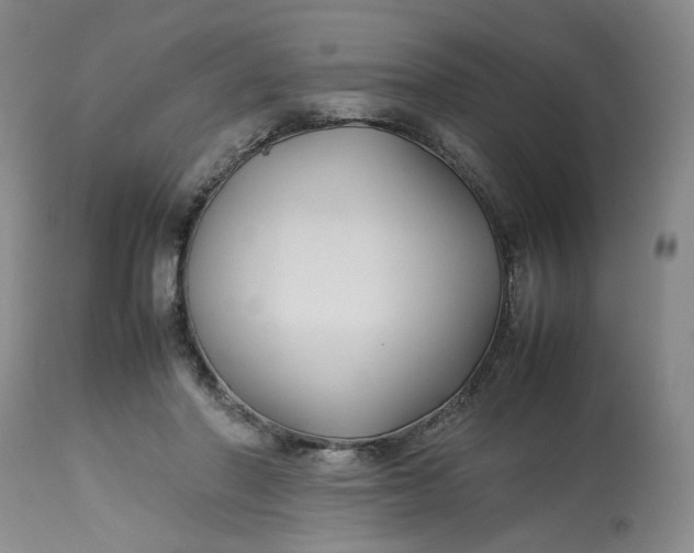 X0000113220406200910011350