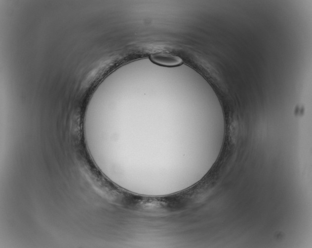 X0000113220407200910011350