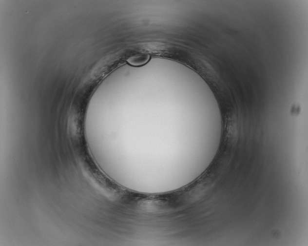 X0000113220408200910011350