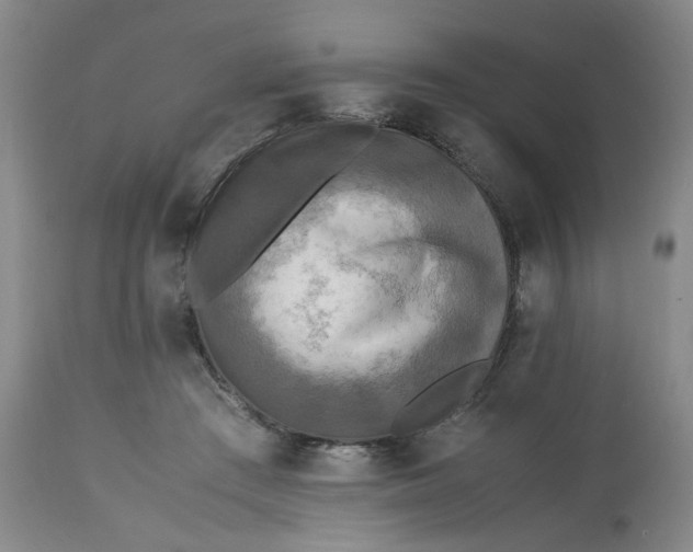 X0000113220409200910011350