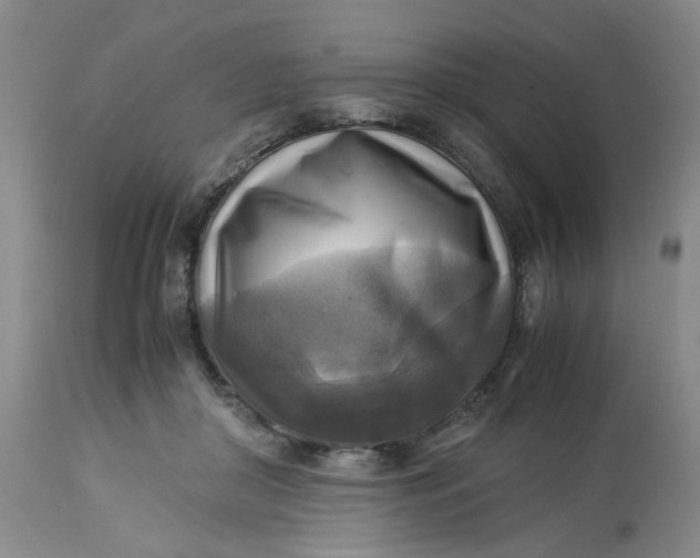 X0000113220410200910011350