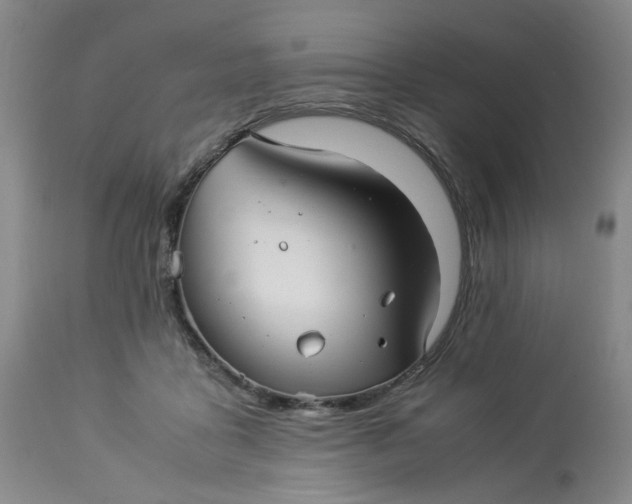 X0000113220411200910011350