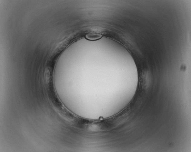 X0000113220412200910011350