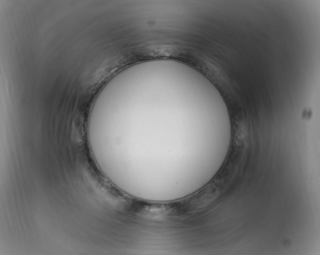 X0000113220414200910011350