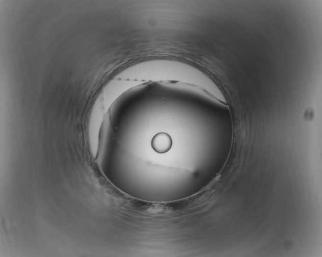 X0000113220415200910011350