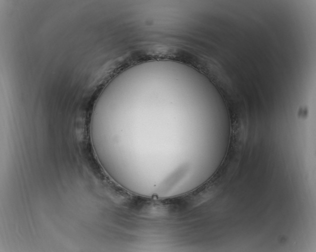 X0000113220416200910011350