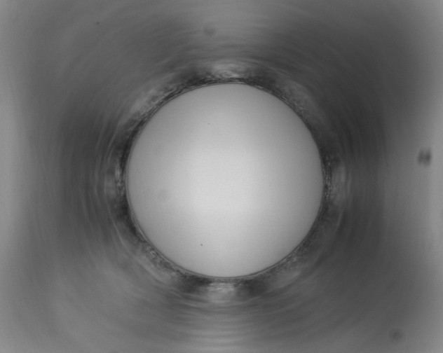 X0000113220418200910011350