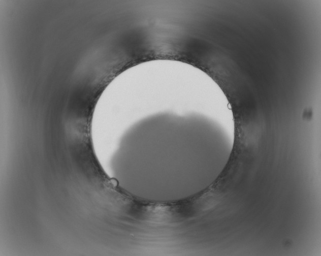 X0000113220419200910011350