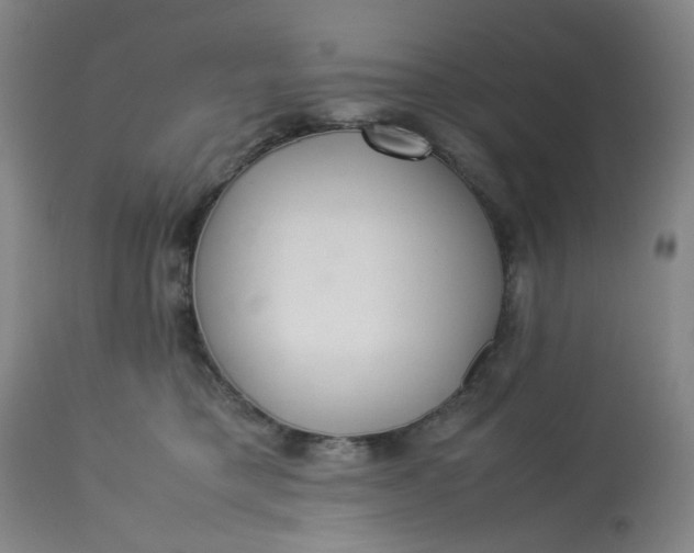 X0000113220421200910011350