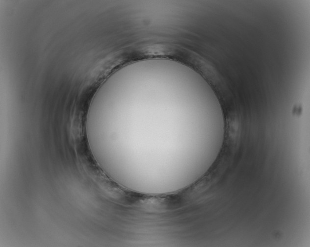 X0000113220422200910011350