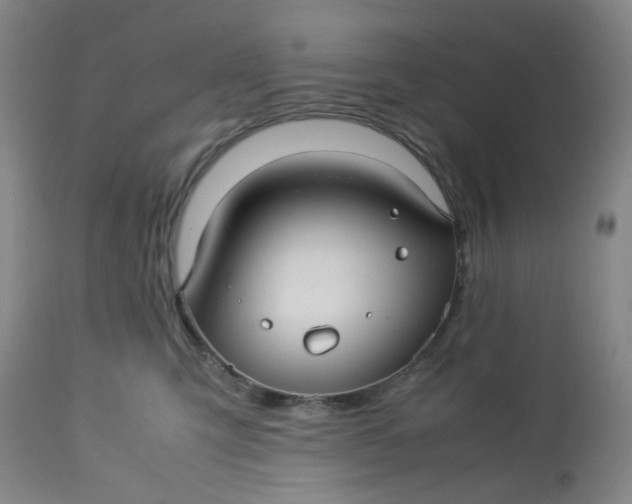 X0000113220423200910011350