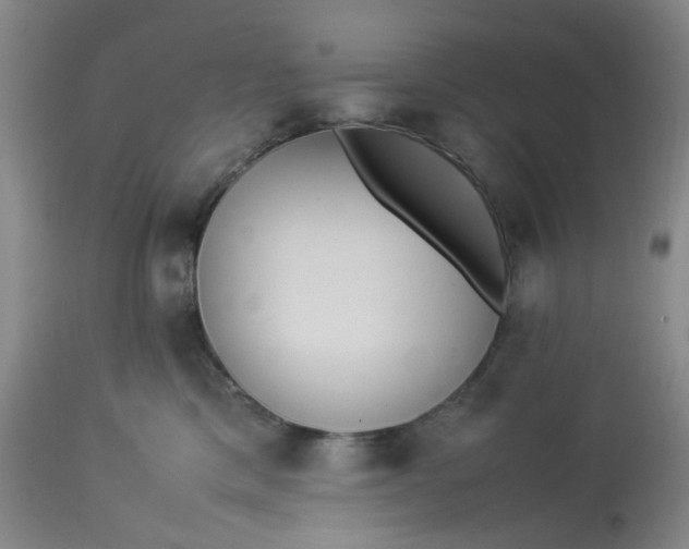 X0000113220425200910011350