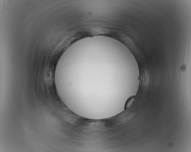 X0000113220426200910011350