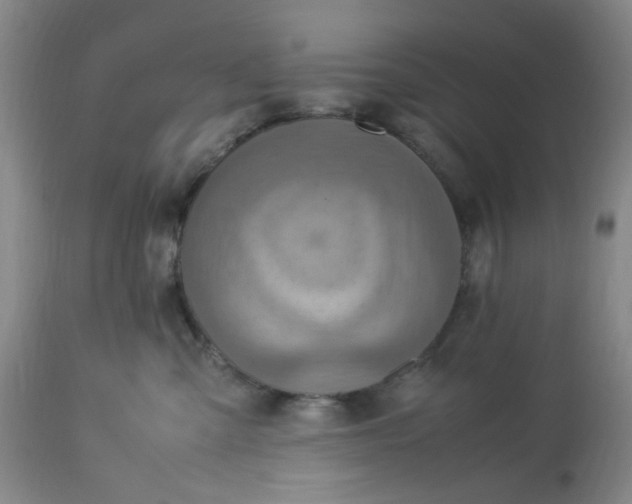 X0000113220427200910011350