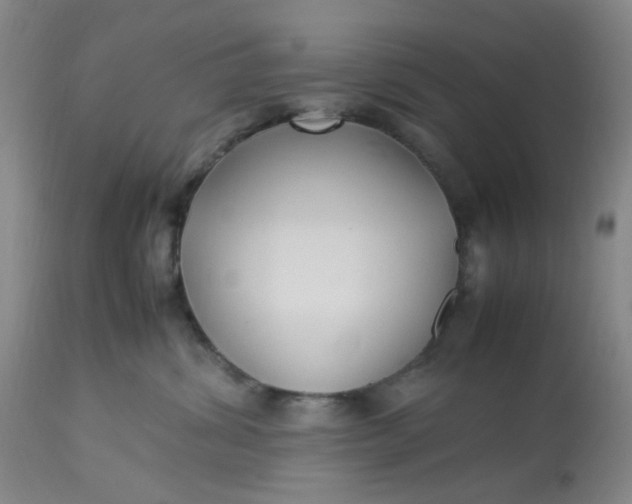 X0000113220428200910011350