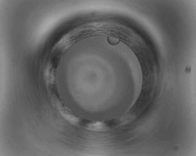 X0000113220431200910011350