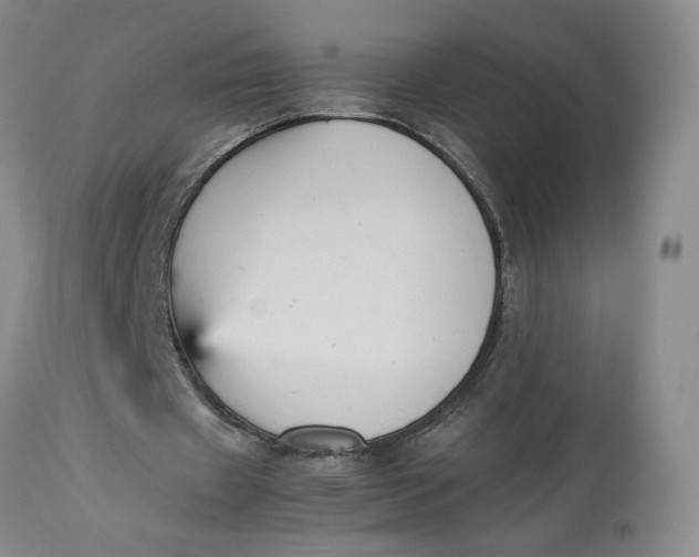 X0000113220433200910011349