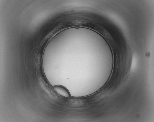 X0000113220435200910011349