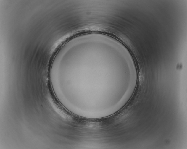 X0000113220438200910011349