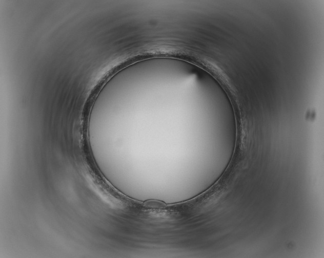 X0000113220439200910011349