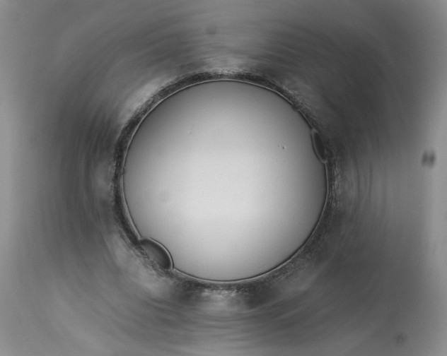 X0000113220440200910011349