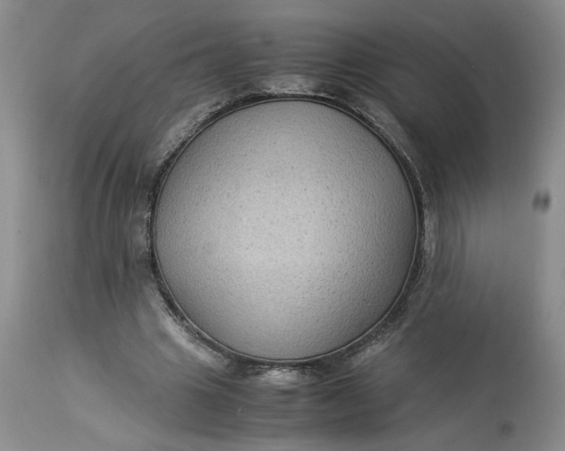 X0000113220441200910011349