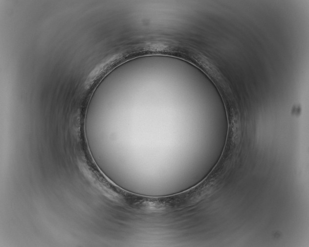 X0000113220442200910011349