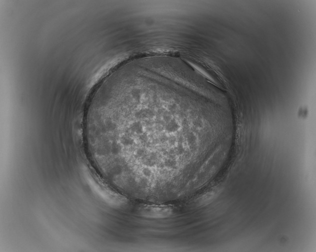 X0000113220443200910011349