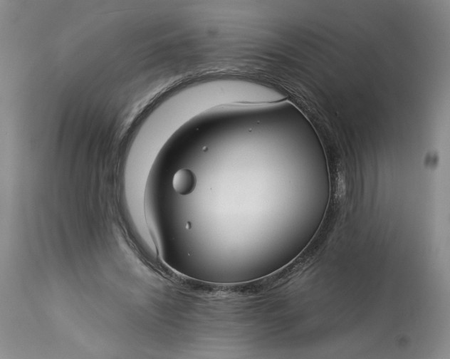 X0000113220444200910011349