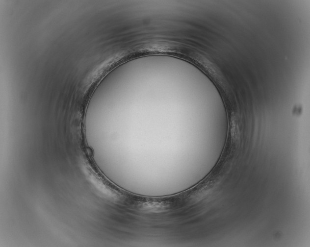 X0000113220445200910011349