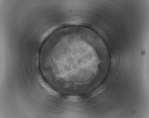 X0000113220446200910011349