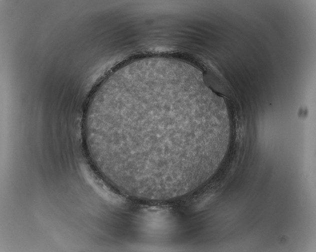 X0000113220447200910011349