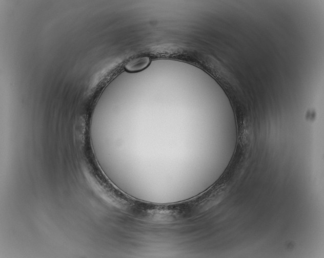 X0000113220448200910011349