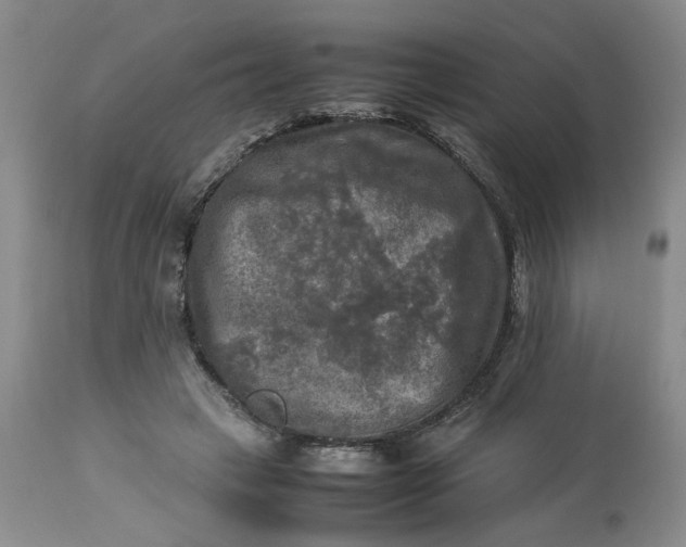 X0000113220449200910011349