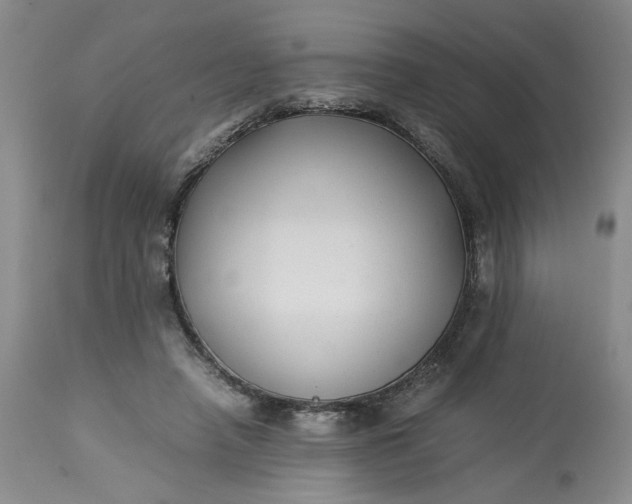 X0000113220450200910011349