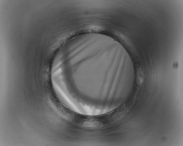 X0000113220451200910011349