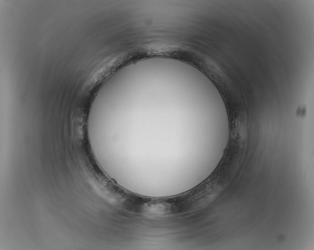 X0000113220452200910011349