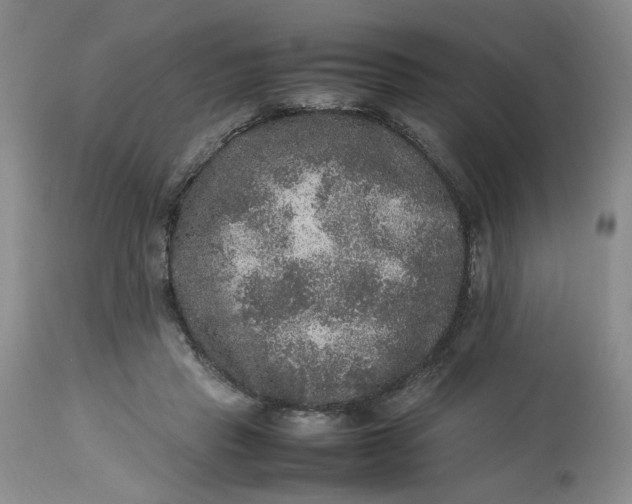 X0000113220453200910011349