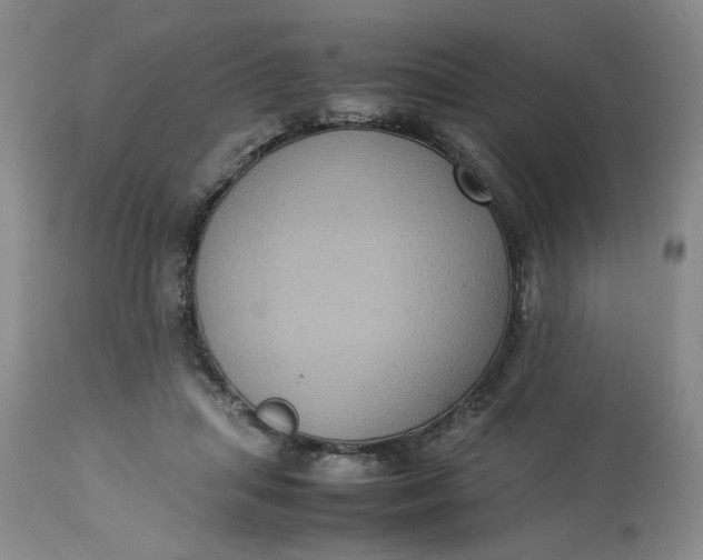 X0000113220455200910011349