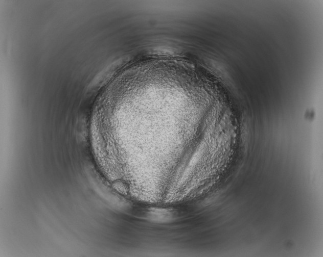 X0000113220457200910011349