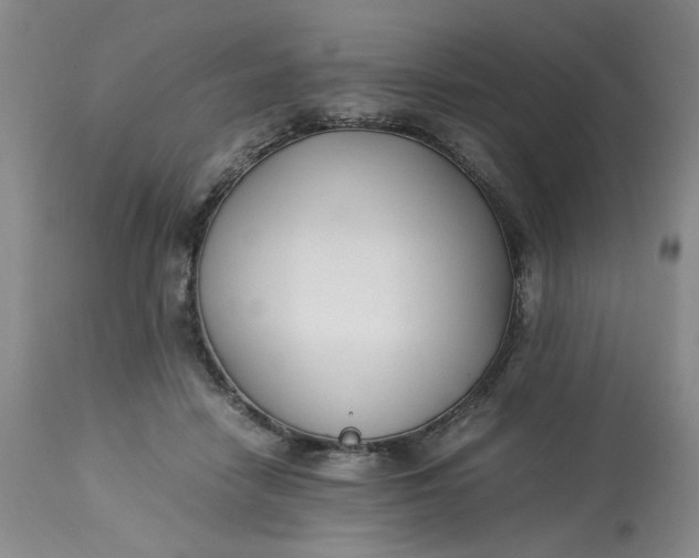 X0000113220458200910011349