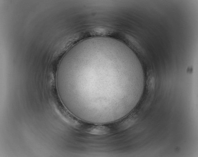 X0000113220459200910011349